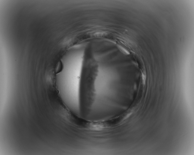 X0000086770181200704271757