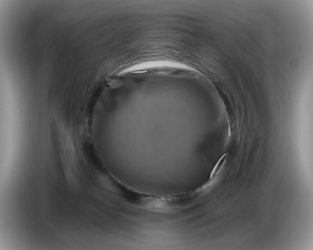 X0000086770182200704271757