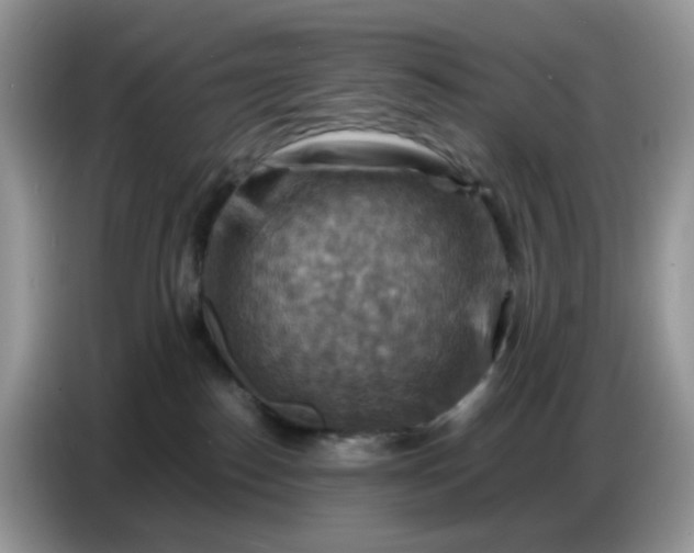 X0000086770186200704271757