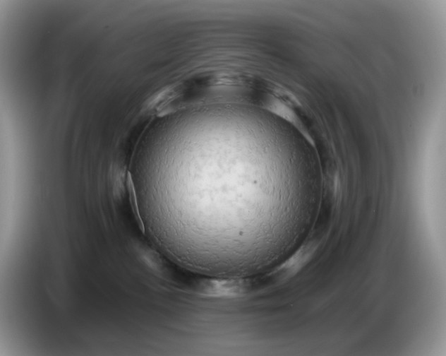 X0000086770188200704271757