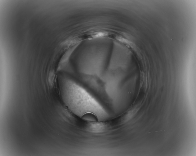 X0000086770189200704271757