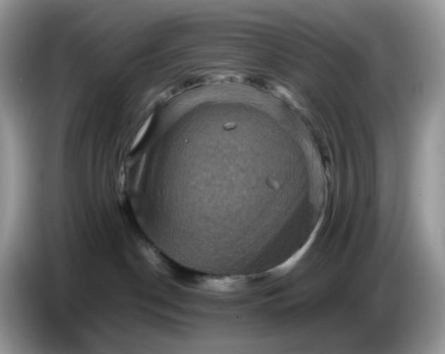 X0000086770190200704271757