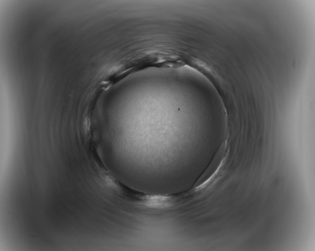 X0000086770192200704271757