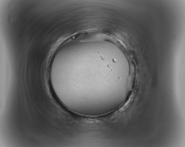 X0000086770193200704271757