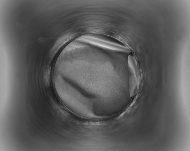 X0000086770194200704271757