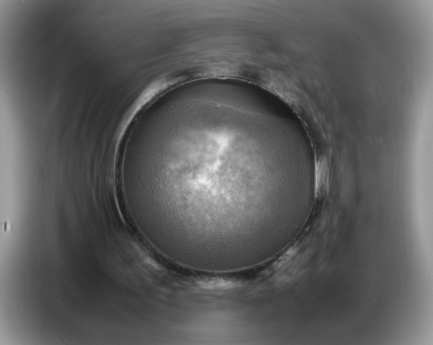 X0000086770195200704271757