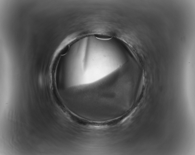 X0000086770198200704271757