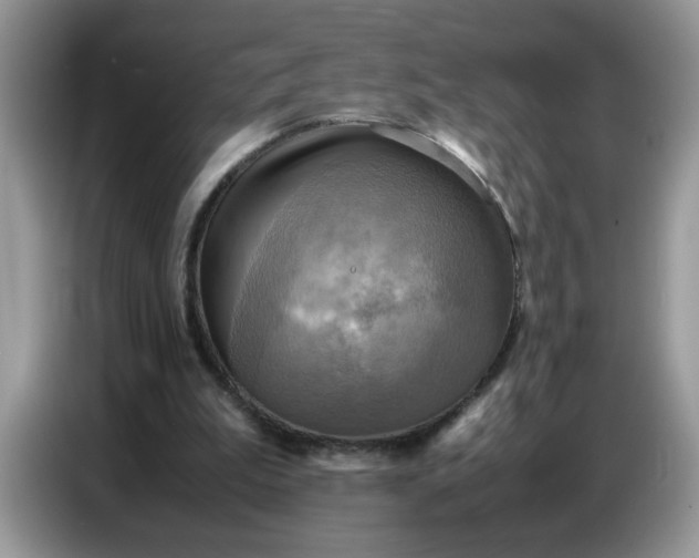 X0000086770199200704271757