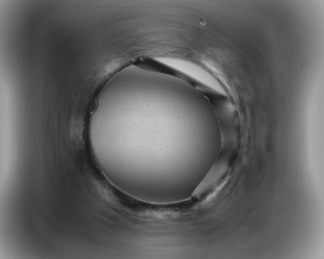 X0000086770201200704271757