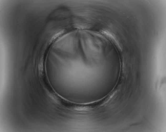 X0000086770202200704271757