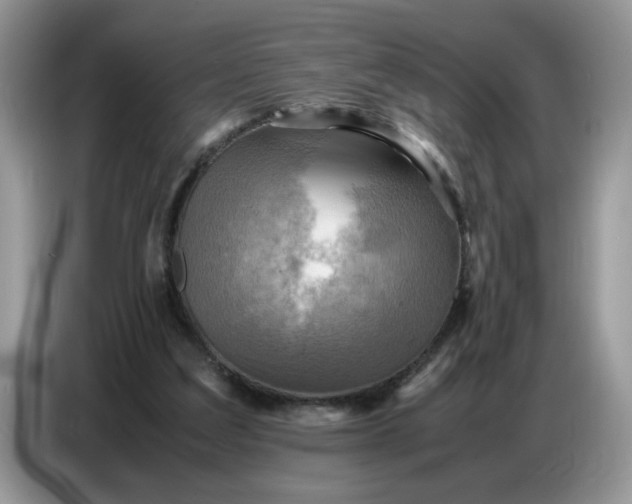 X0000086770203200704271757