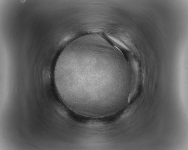 X0000086770207200704271757