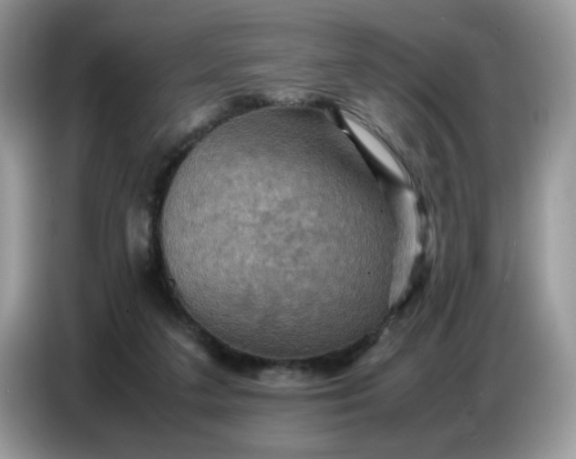 X0000086770211200704271756
