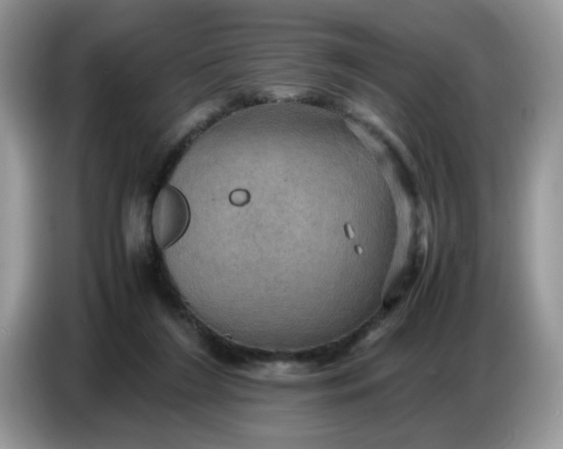 X0000086770212200704271756