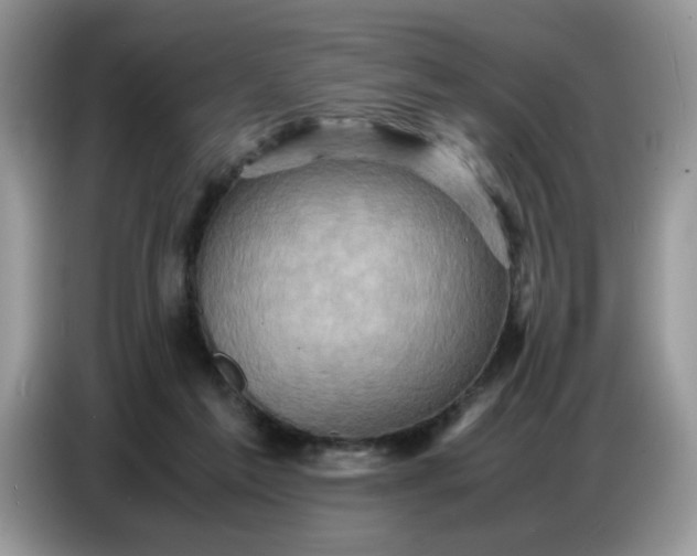 X0000086770213200704271756