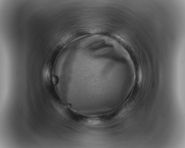 X0000086770214200704271756
