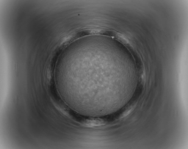X0000086770215200704271756