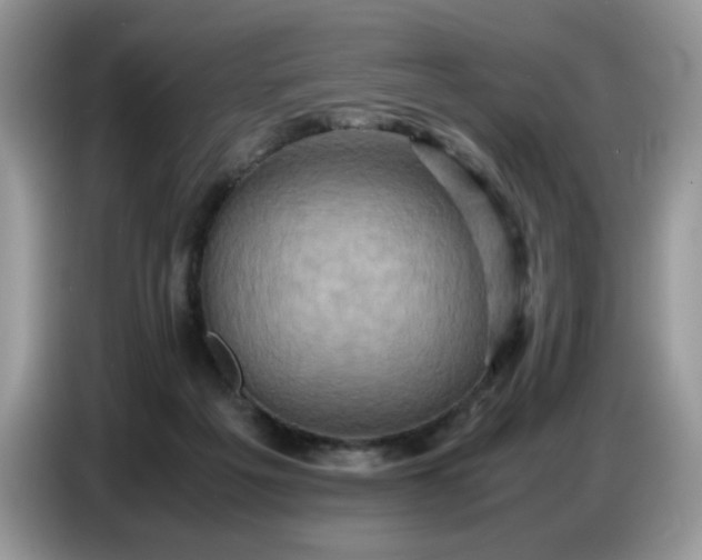 X0000086770217200704271756