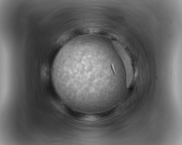 X0000086770218200704271756