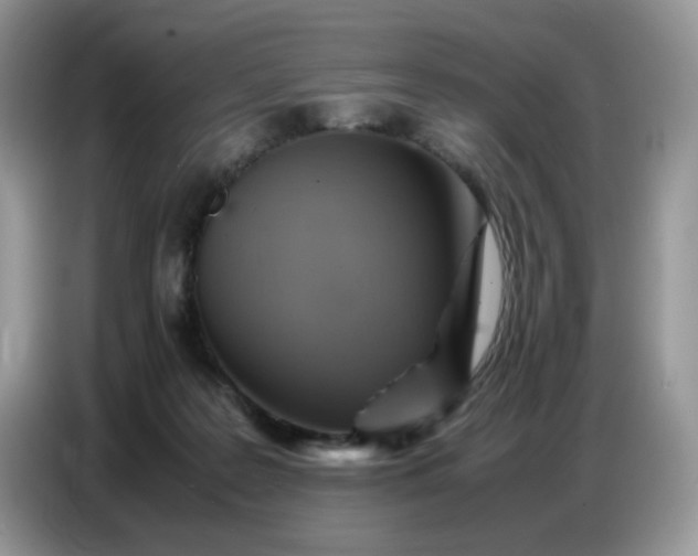 X0000086770219200704271756