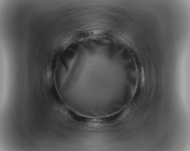 X0000086770222200704271756