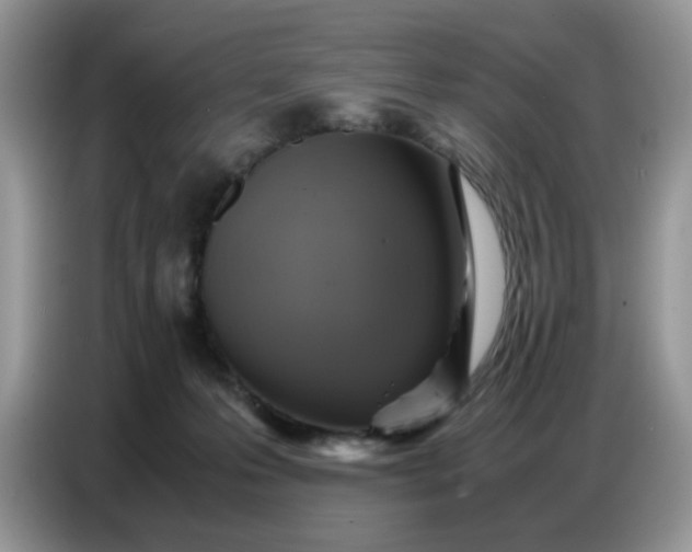 X0000086770223200704271756