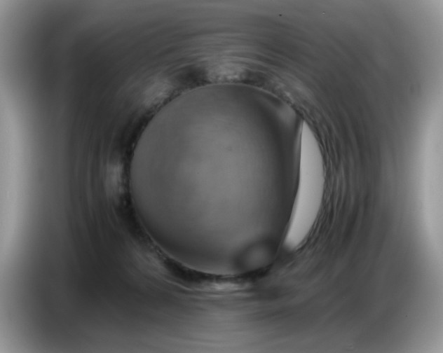 X0000086770224200704271756