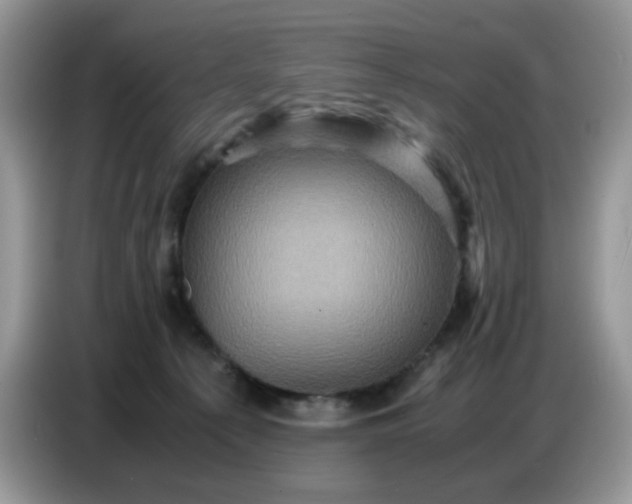 X0000086770225200704271756