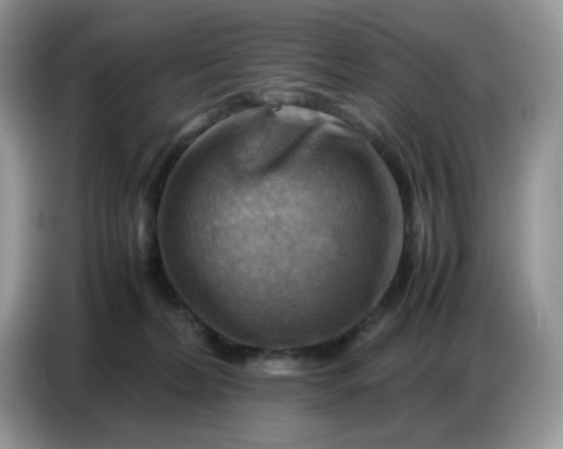 X0000086770228200704271756