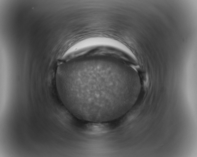 X0000086770229200704271756