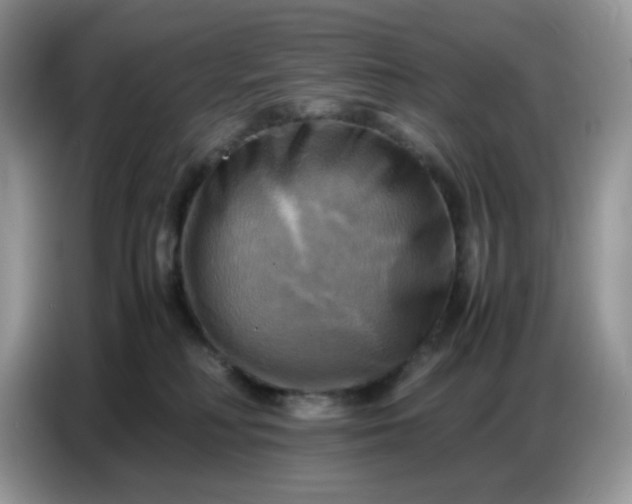 X0000086770230200704271756