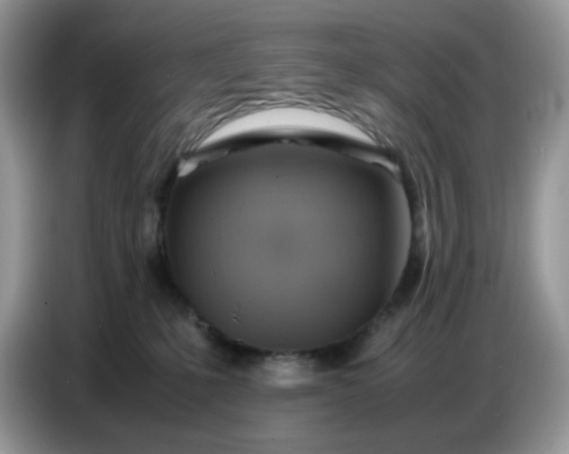 X0000086770231200704271756