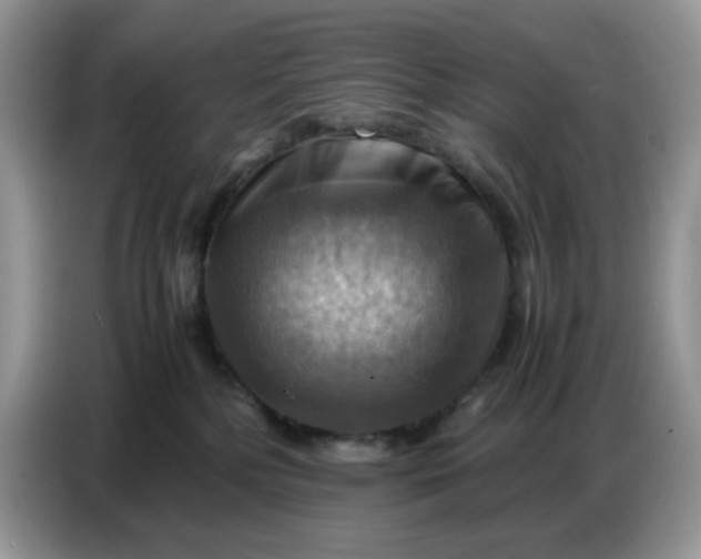X0000086770232200704271756
