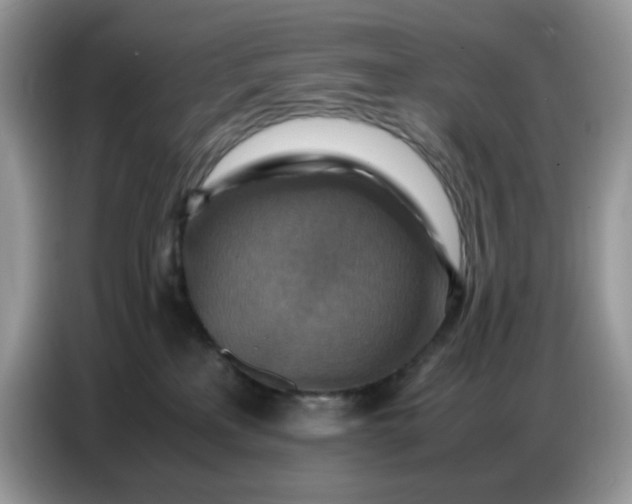 X0000086770233200704271756