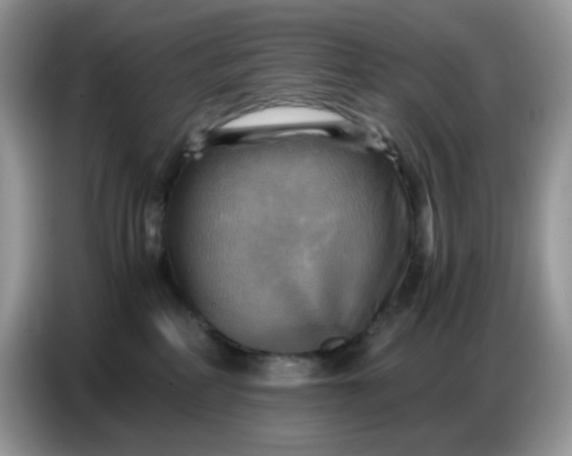 X0000086770234200704271756