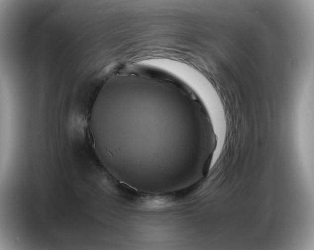 X0000086770235200704271756