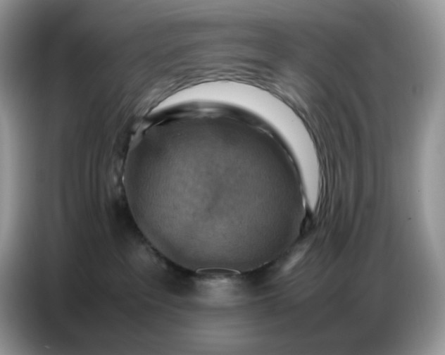 X0000086770237200704271756
