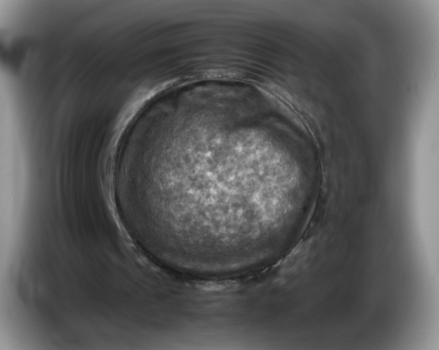 X0000086770241200704271755