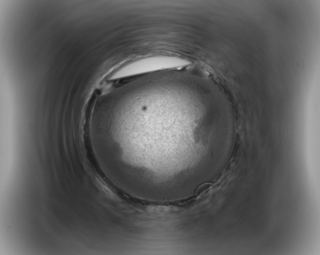 X0000086770242200704271755