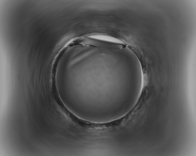 X0000086770243200704271755