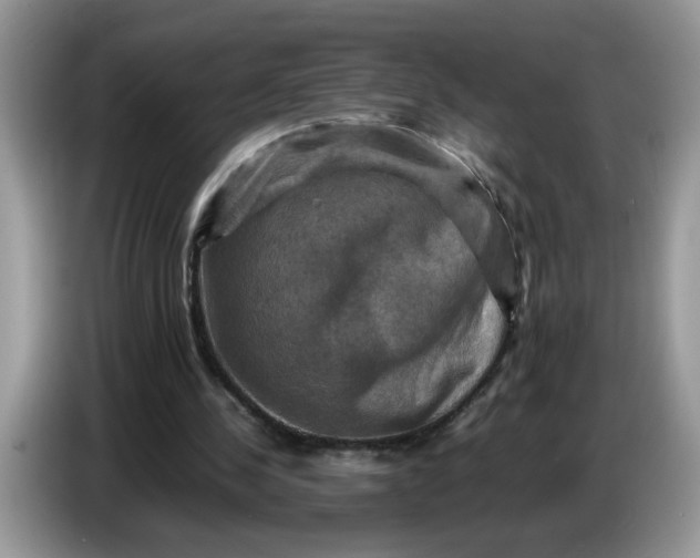 X0000086770244200704271756
