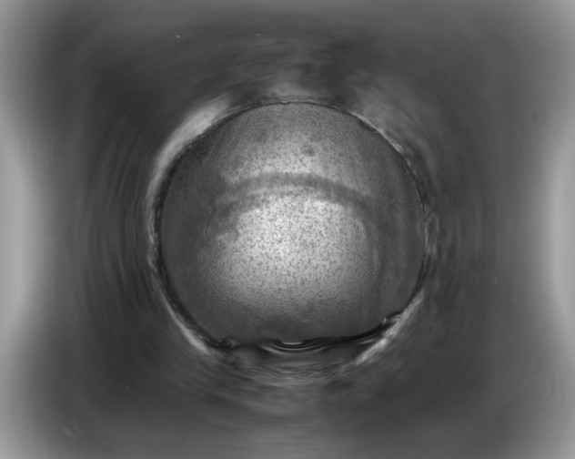 X0000086770245200704271756