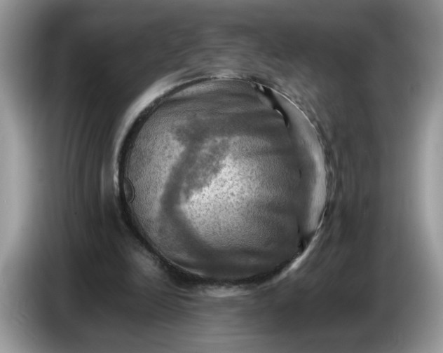 X0000086770246200704271756