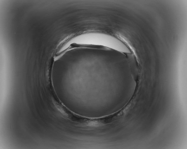 X0000086770249200704271756