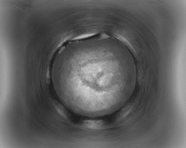 X0000086770251200704271756