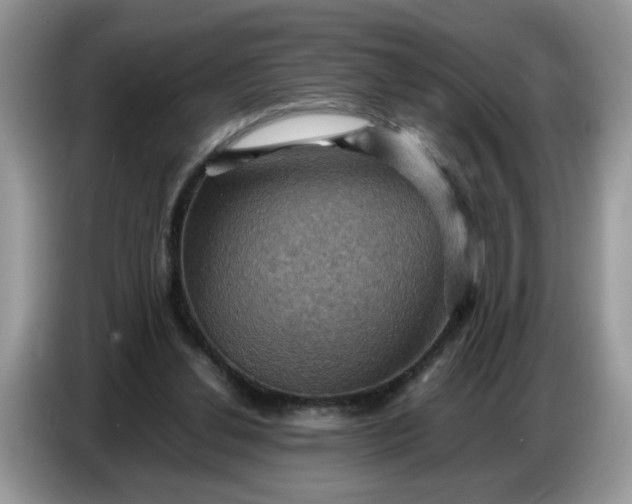 X0000086770252200704271756