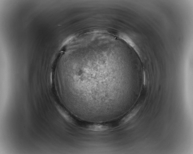 X0000086770253200704271756