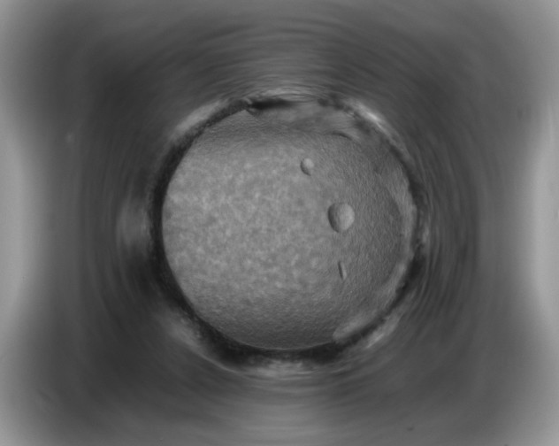 X0000086770256200704271756