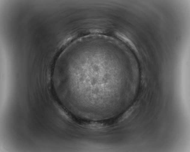 X0000086770257200704271756