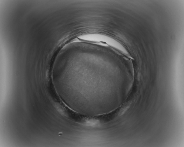 X0000086770258200704271756